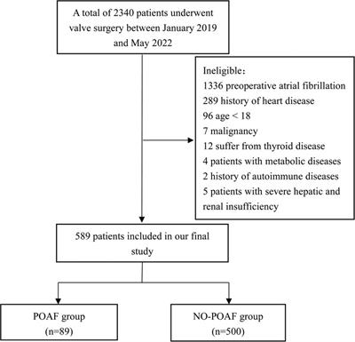 The occurrence of early atrial fibrillation after cardiac valve operation and the establishment of a nomogram model